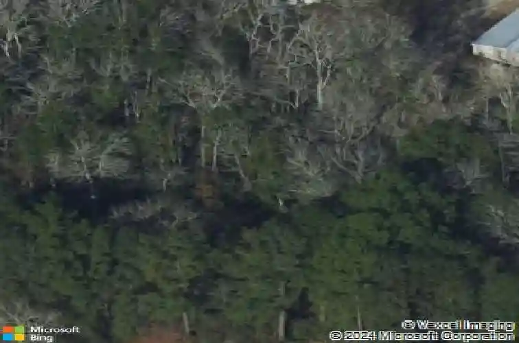 955 zeigler rd, bloomingdale,  GA 31302