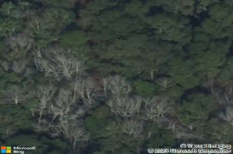 250 middleton rd, guyton,  GA 31312