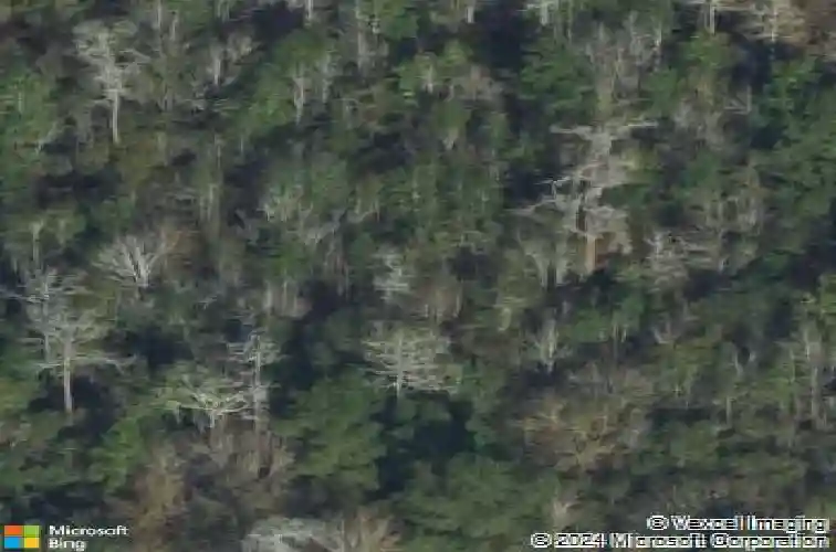 777 zittrouer rd, guyton,  GA 31312