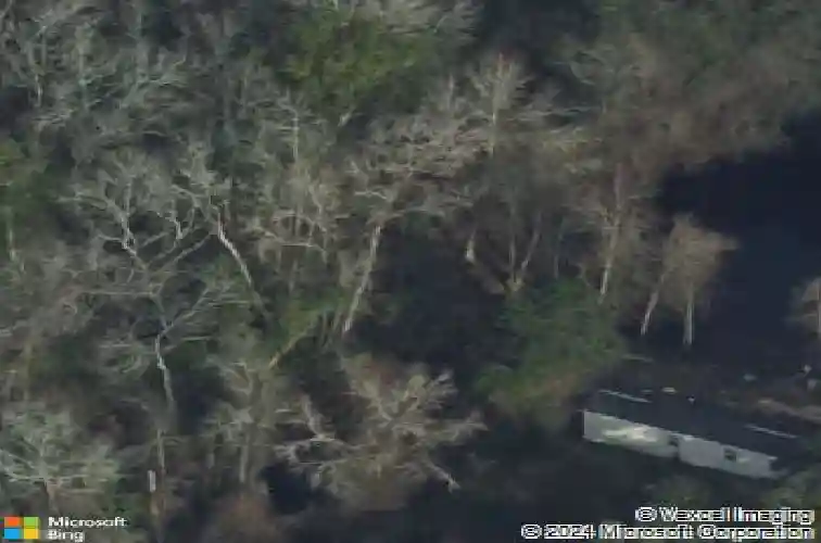 2990 us highway 80, bloomingdale,  GA 31302