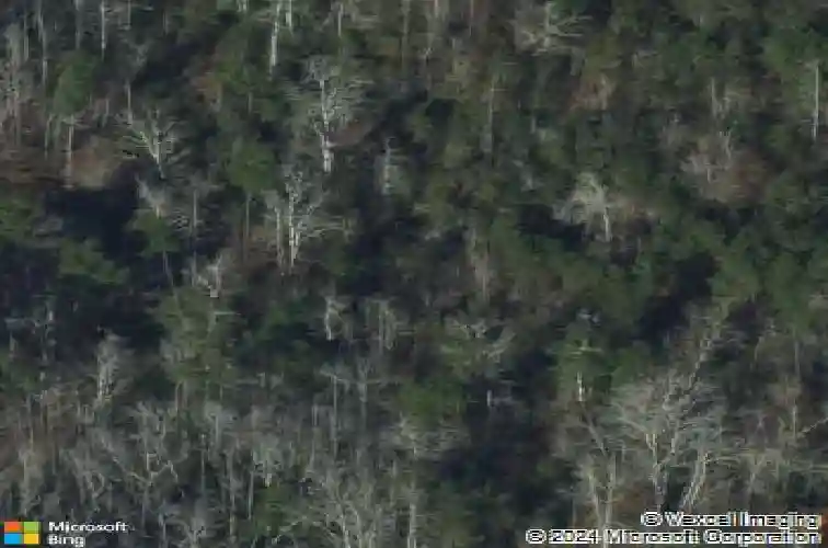 2565 us highway 80, bloomingdale,  GA 31302