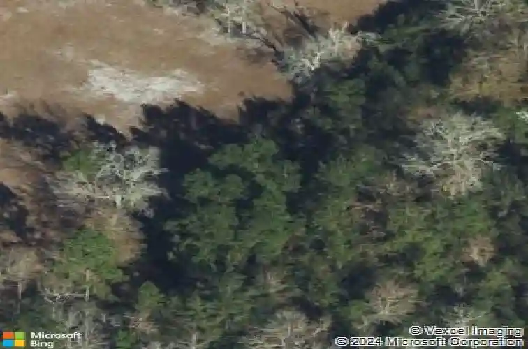 3565 blue jay rd, guyton,  GA 31312