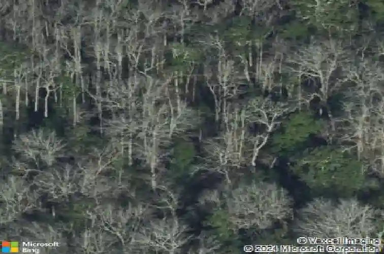 zittrouer road, guyton,  GA 31312