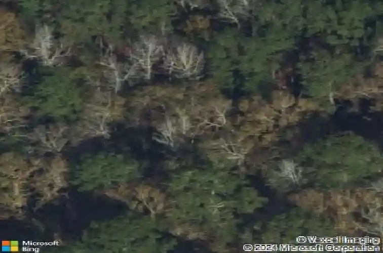 abercorn road, rincon,  GA 31326