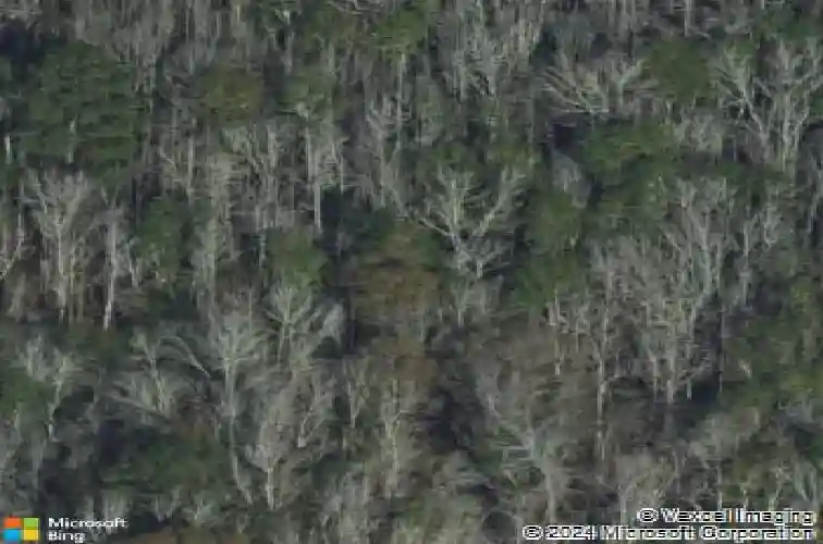 crane court, rincon,  GA 31326