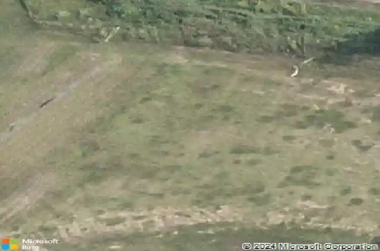 1000 hampshire dr, marion,  IA 52302