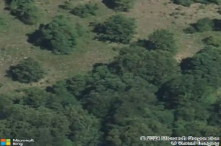 22942 w m 43, kalamazoo,  MI 49009