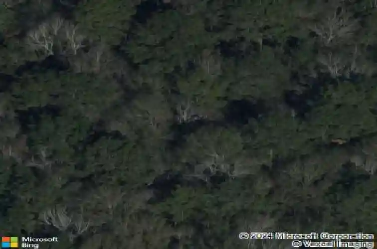 ellis lane, vidor,  TX 77662