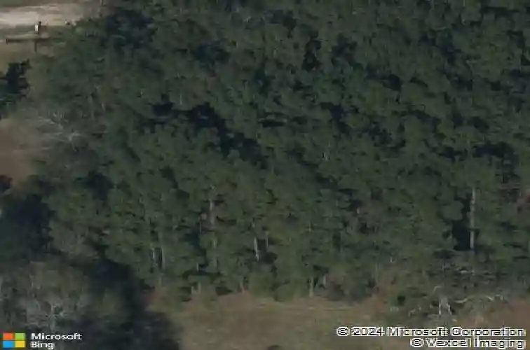 140 princeton street, vidor,  TX 77662