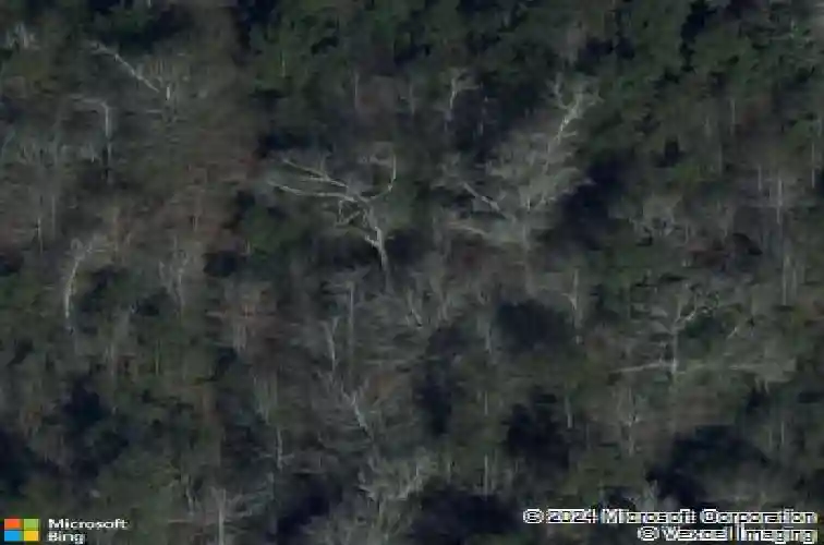 3670 lakeview cutoff st, vidor,  TX 77662