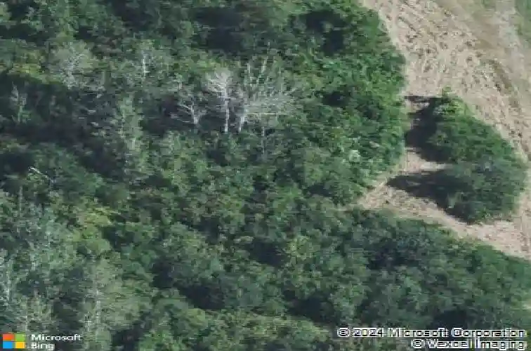 5913 stuckey rd, creston,  OH 44217