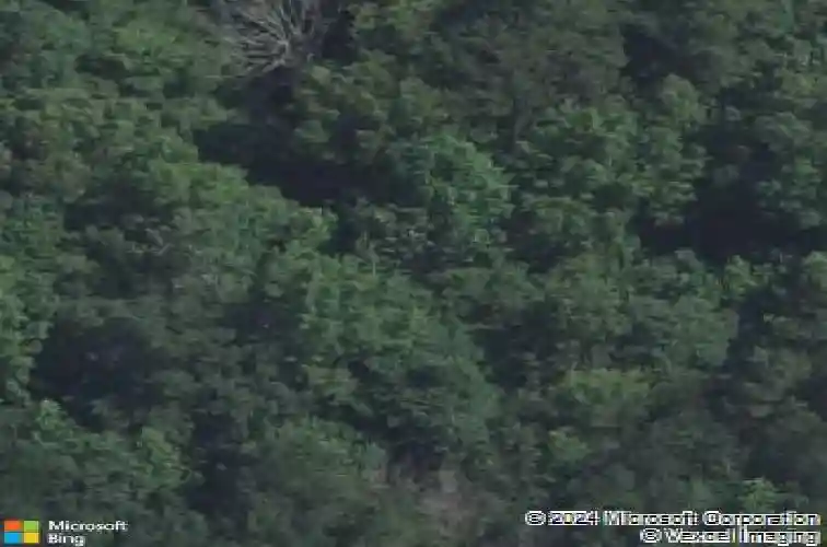 1519 hard scrabble rd, columbia,  SC 29203