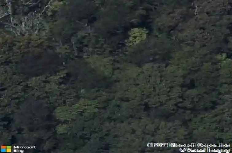 3225 margaret mary ln, belleville,  IL 62221