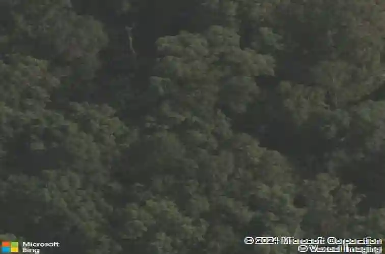  little rock,  AR 72204