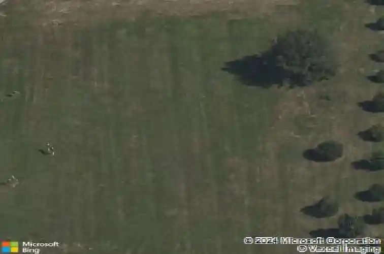 6141 n chelsea avenue, kansas city,  MO 64119