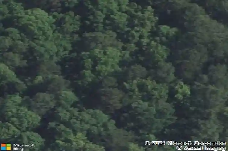 1017 nannie kelly rd, columbia,  SC 29203