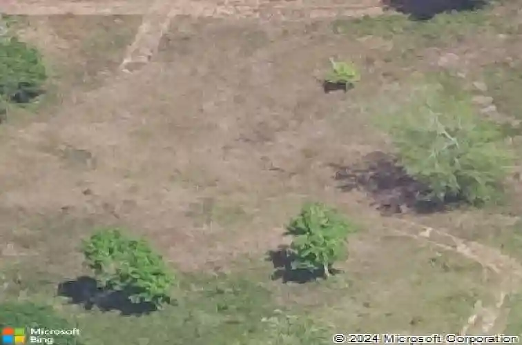 10185 e greenwood dr, orange,  TX 77630