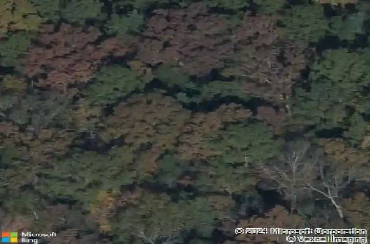 friendly woods road, blythewood,  SC 29016