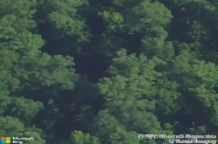 nx173 annie adkins rd, irmo,  SC 29063