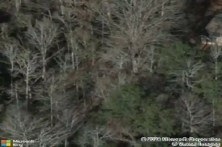 bickley road, irmo,  SC 29063