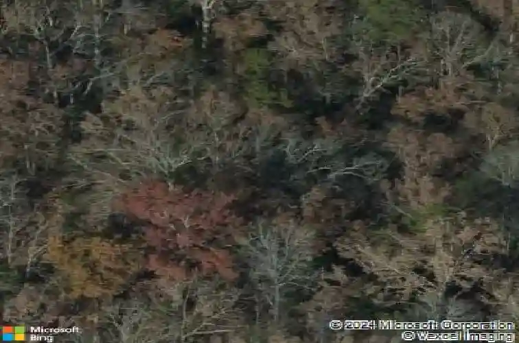 s s page derrick road, irmo,  SC 29063