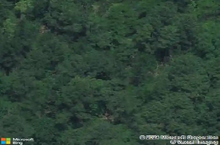 116 fawn dr, hopkins,  SC 29061