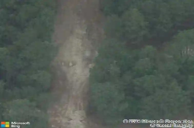 5047 percival rd, elgin,  SC 29045