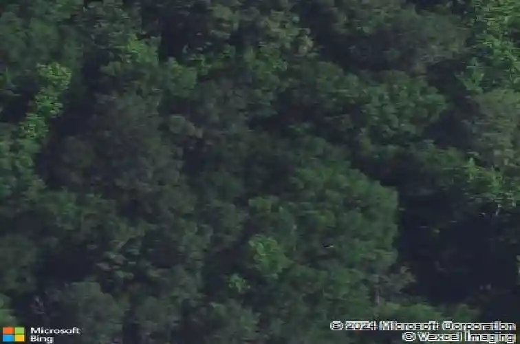 1532 martin luther king blvd, hopkins,  SC 29061