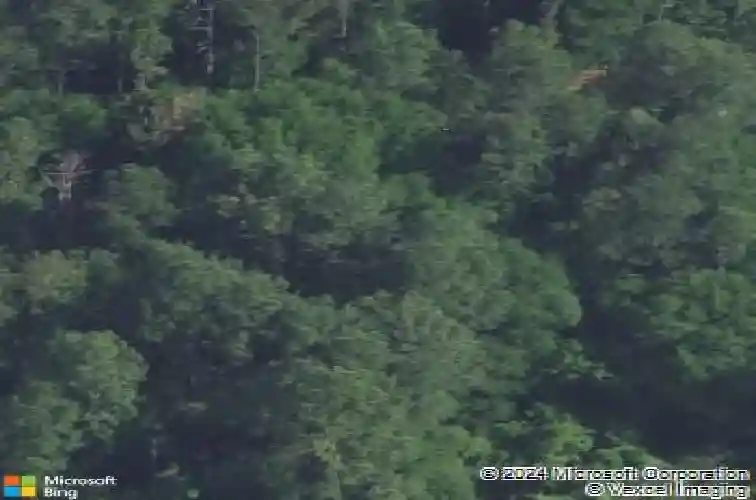 lone drive, columbia,  SC 29203