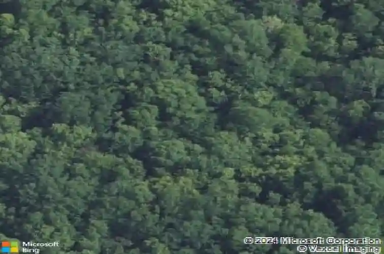 7788 farrow rd, columbia,  SC 29203