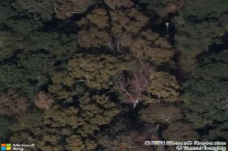 11033 wilson blvd, blythewood,  SC 29016