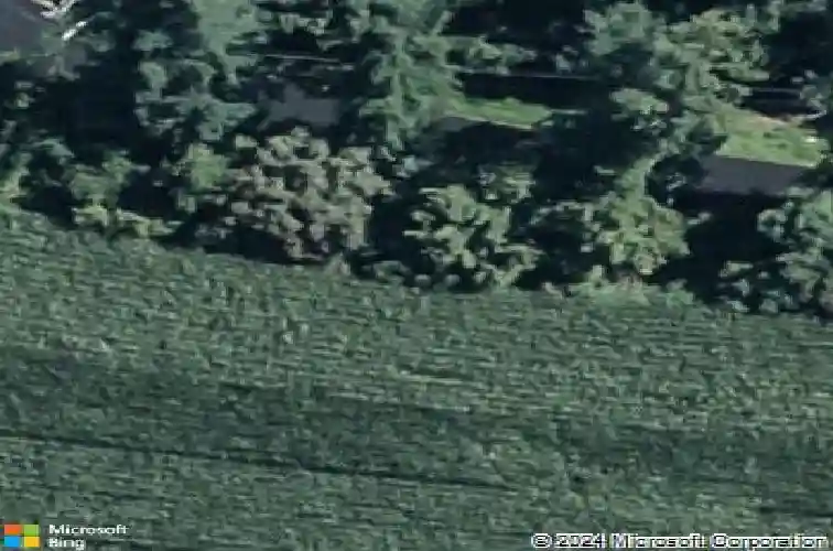 antonio drive, reading,  PA 19605