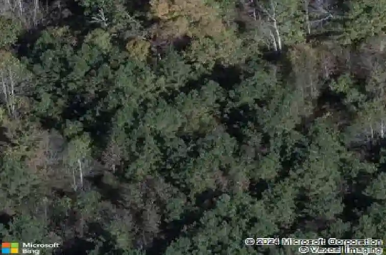 scottie dr, creedmoor,  NC 27522