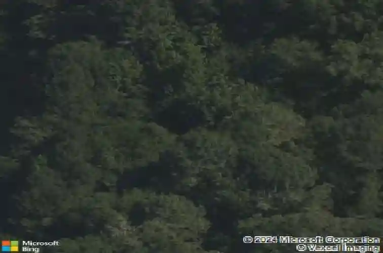  little rock,  AR 72209