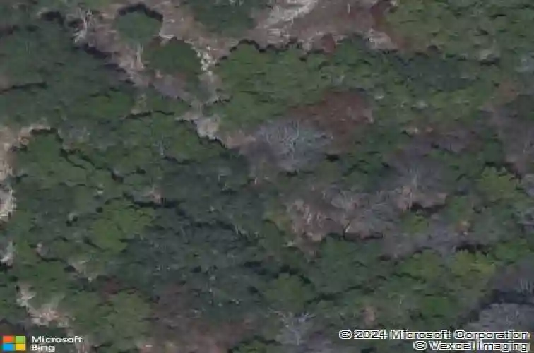 2620 crazyhorse pass, austin,  TX 78734