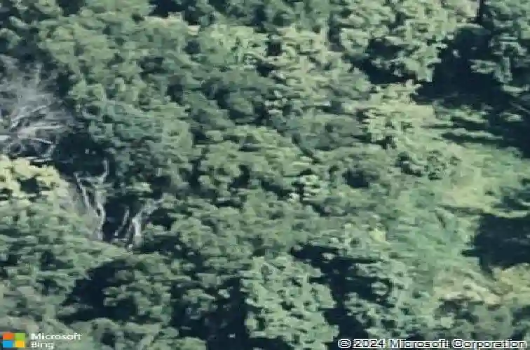 1018 fairview dr, leesport,  PA 19533