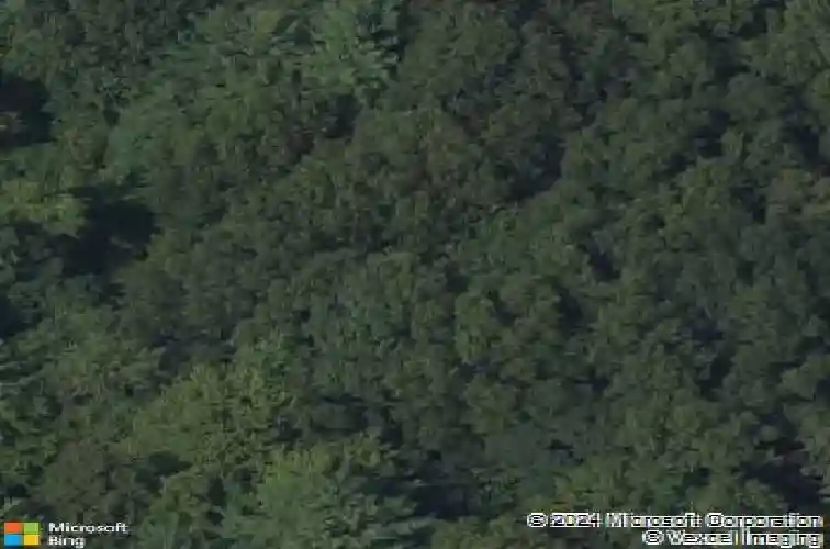 544 rector rd, schenectady,  NY 12302