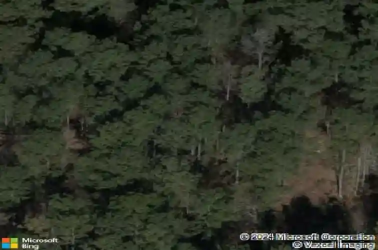 1109 hopewell church rd, irmo,  SC 29063