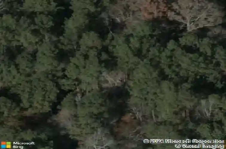 1325 pet sites rd, chapin,  SC 29036