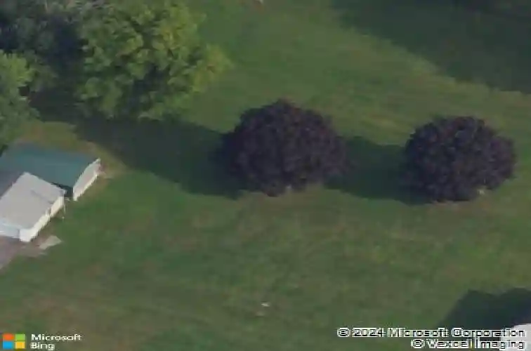 944 muriel peterson dr, duanesburg,  NY 12056