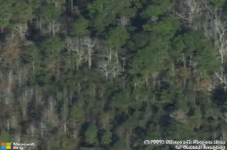 875 zittrouer rd, guyton,  GA 31312