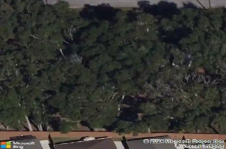 5299 county road 503e, wildwood,  FL 34785