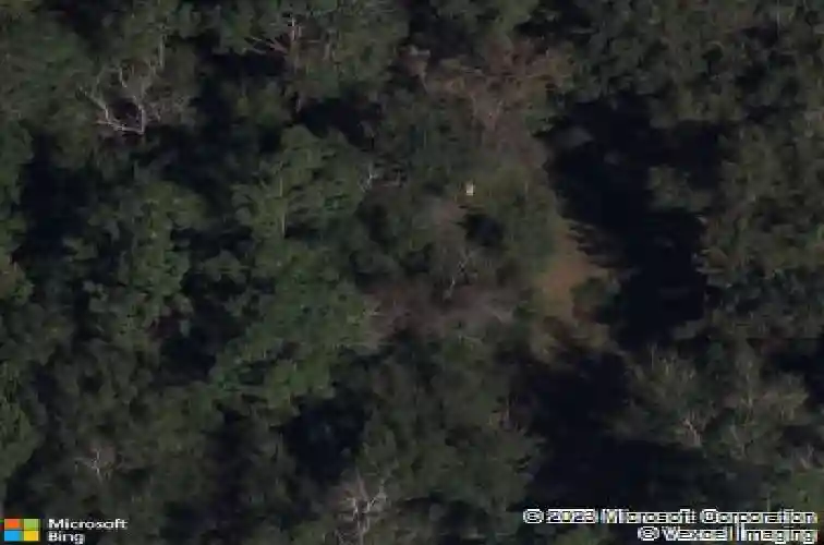 4942 e county road 462, wildwood,  FL 34785