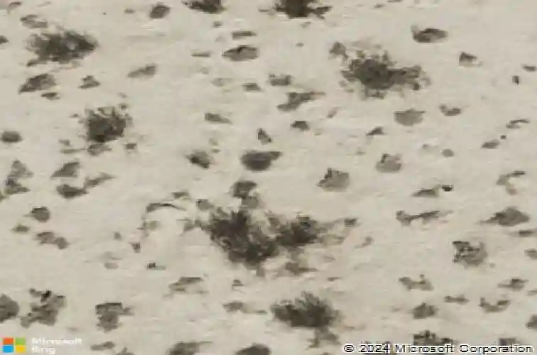  north las vegas,  NV 89031