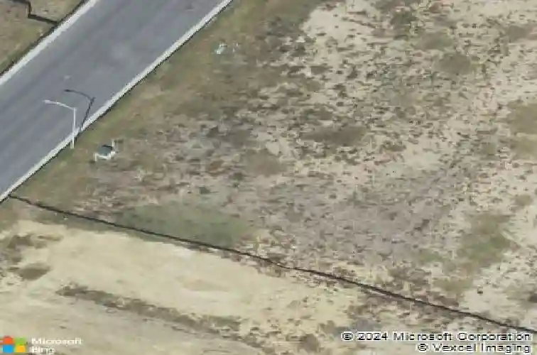  del valle,  TX 78617