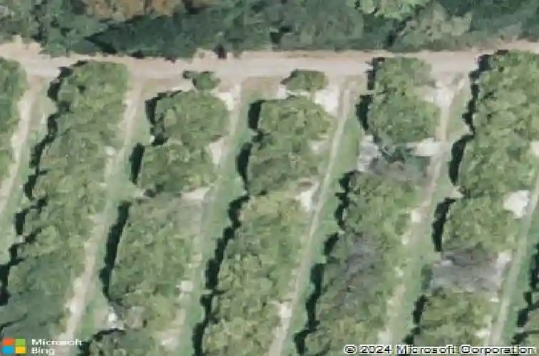  auburndale,  FL 33823