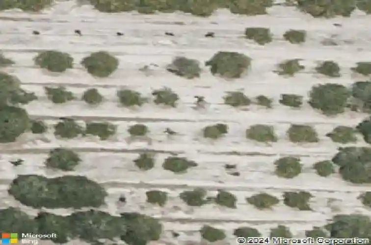  auburndale,  FL 33823