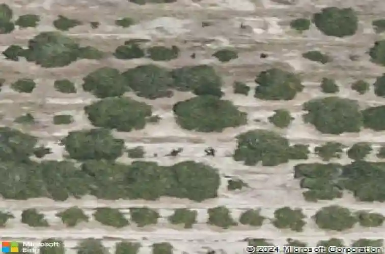  auburndale,  FL 33823