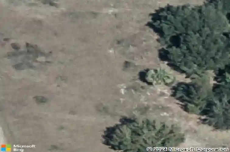  winter haven,  FL 33881