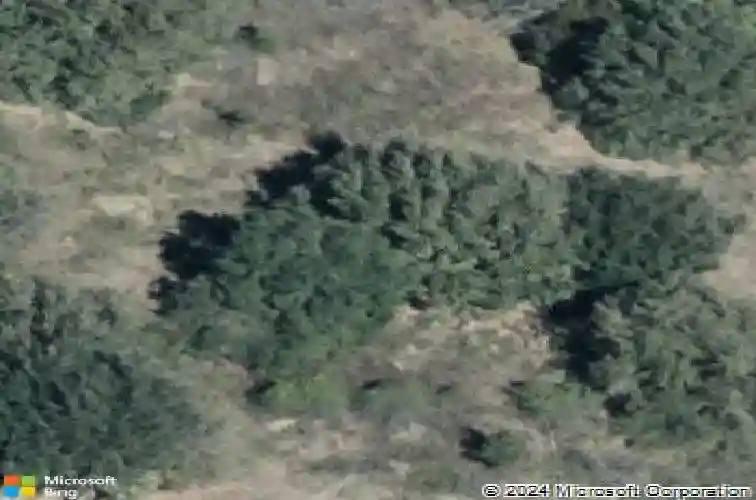  winter haven,  FL 33881